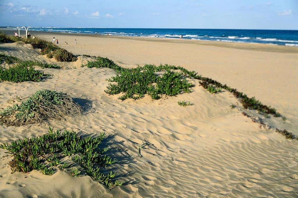 Apartamento En Playa Canet De Berenguer Canet d'En Berenguer Eksteriør bilde